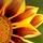 Logo - copy (2).thumb